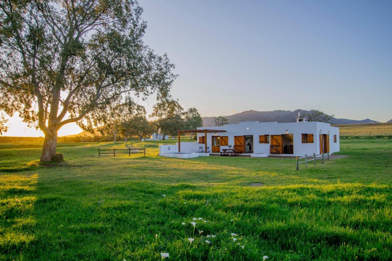 Denneboom Vineyards And Wildlife Daire Paarl Dış mekan fotoğraf