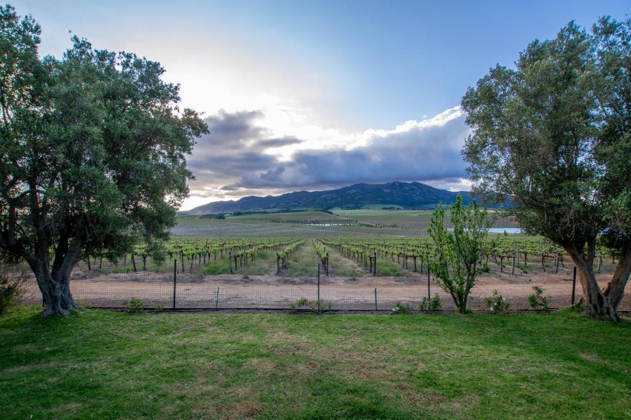 Denneboom Vineyards And Wildlife Daire Paarl Dış mekan fotoğraf