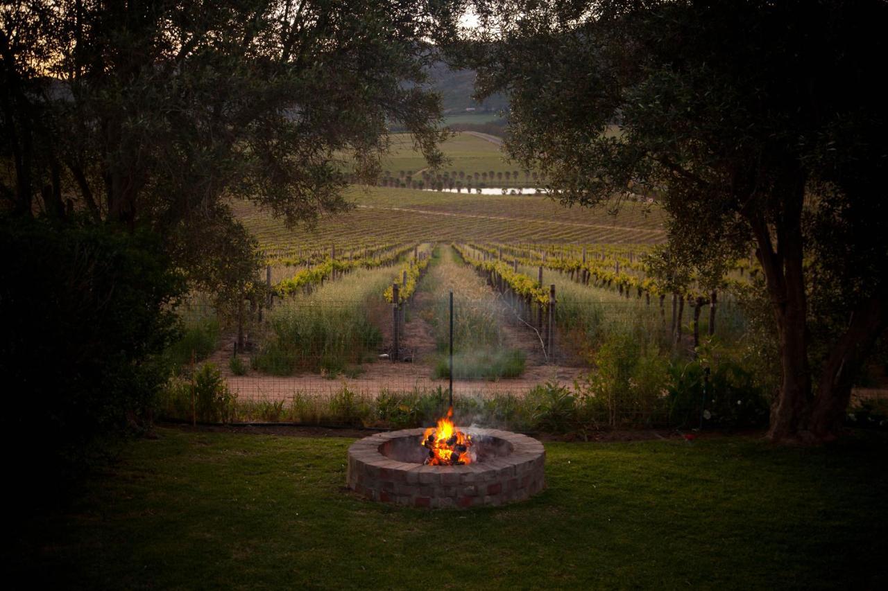 Denneboom Vineyards And Wildlife Daire Paarl Dış mekan fotoğraf